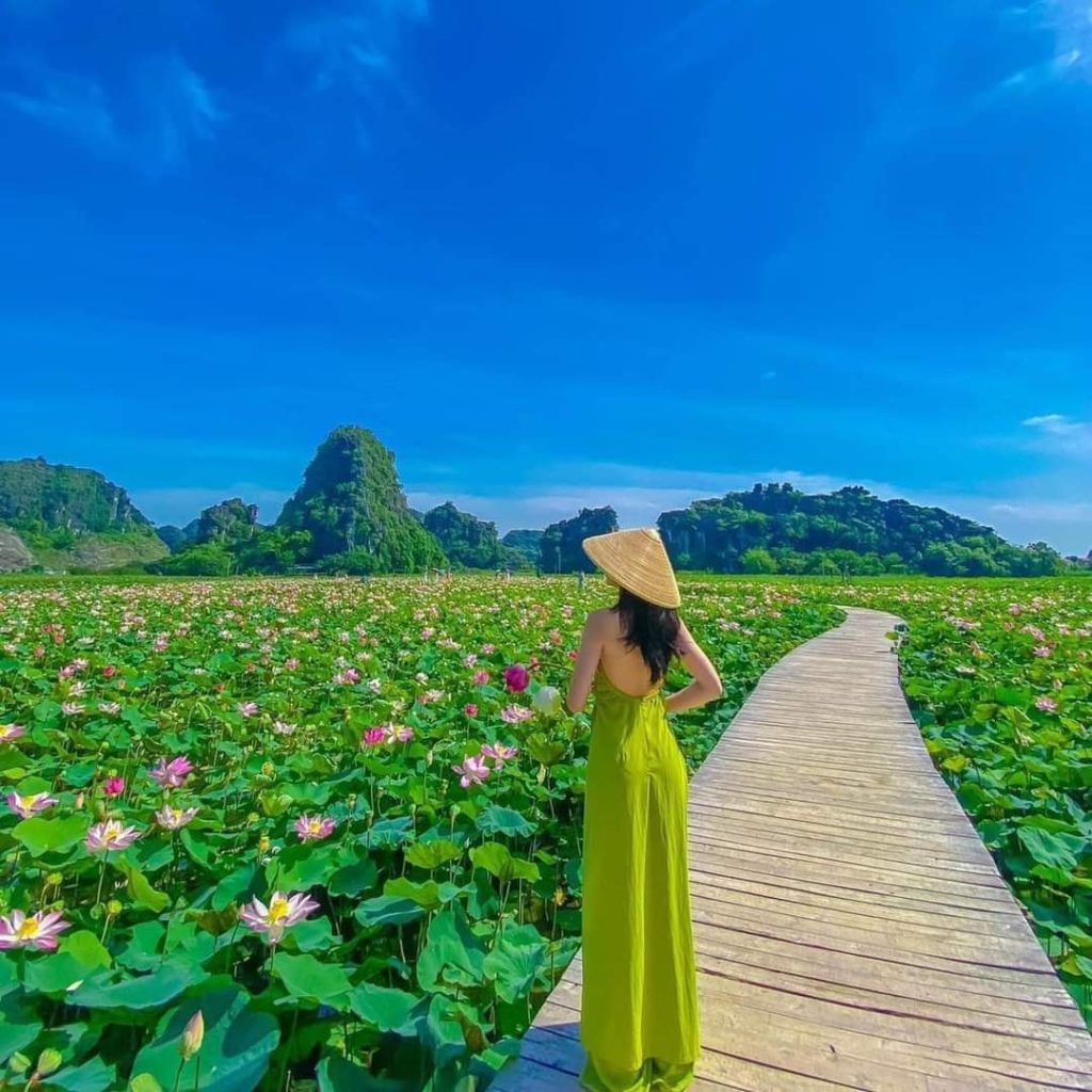 Tour Ninh Bình 1 ngày