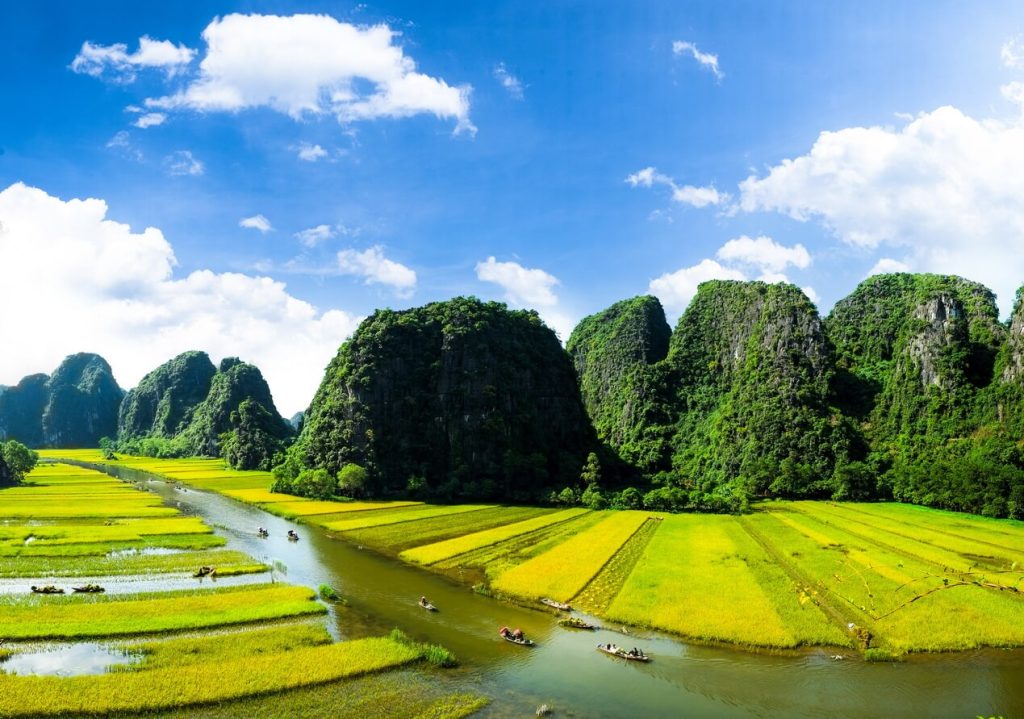Ngắm trọn mùa vàng Tam Cốc (1)