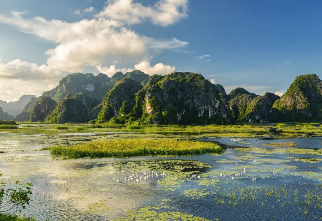 ‘Nghe’ chiều về trên đầm Vân Long (1)