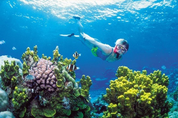 Tour khám phá Côn Đảo 3 ngày 2 đêm