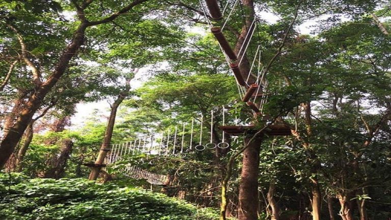 Thăm Quan Động Phong Nha – Công Viên Ozo 1 ngày