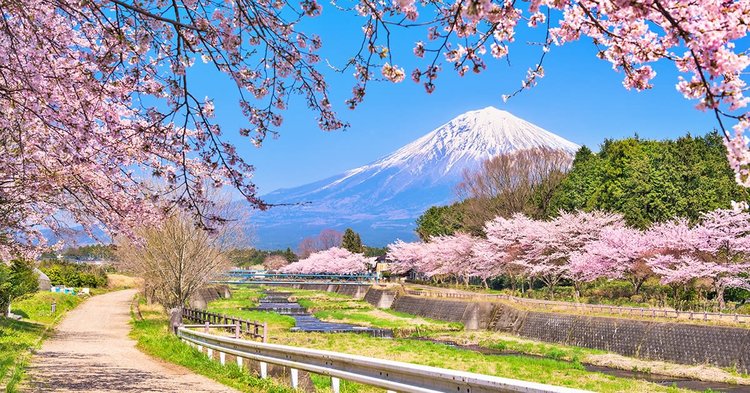 Tour Tokyo – Núi Phú Sĩ 4 ngày 3 đêm : Lễ hội mùa Thu Nhật Bản