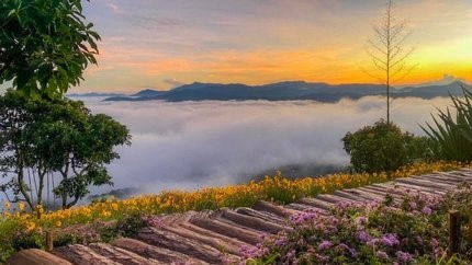 Tour Đà Lạt – Nha Trang 5 ngày 4 đêm (Thác Datanla + Green Hill + Puppy Farm)