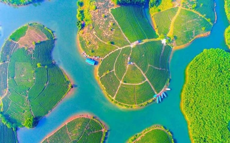 Nghệ An – Ốc đảo Chè – Vườn Quốc Gia Pù Mát 3 ngày 2 đêm