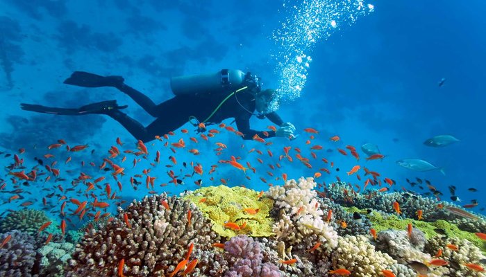 Tour du lịch khám phá 3 đảo Nha Trang
