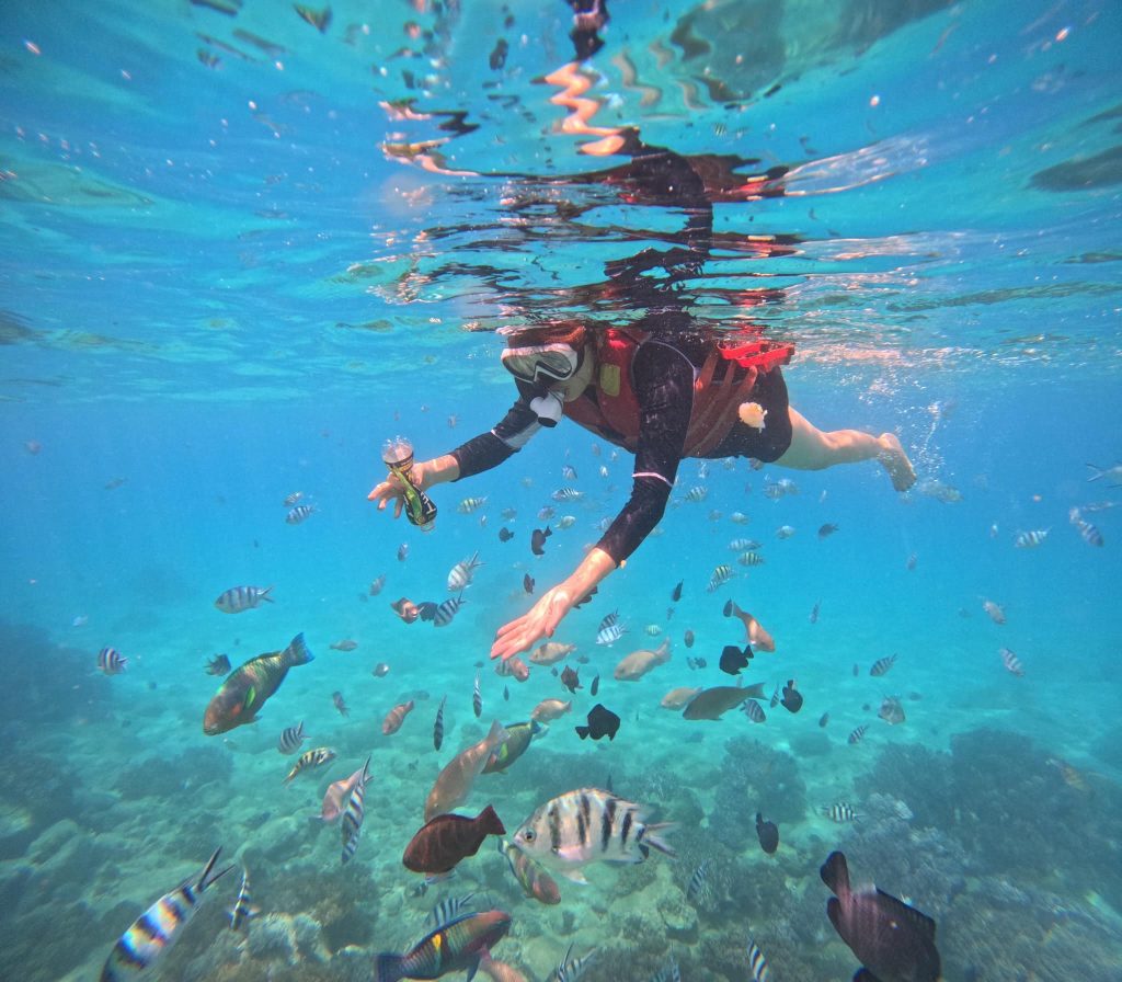 nha trang