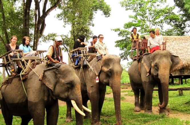 Tây Nguyên – Đà Lạt – Buôn Mê Thuột – Pleiku 5 ngày 4 đêm